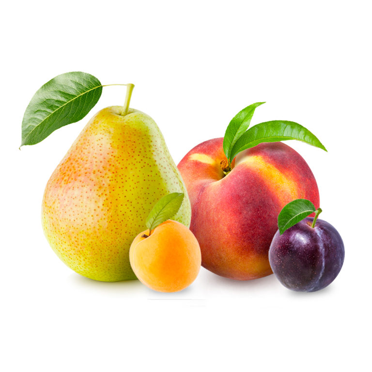 Partially rehydrated summer fruits Ve.Ba. Cooperativa Ortofrutticola S.C.